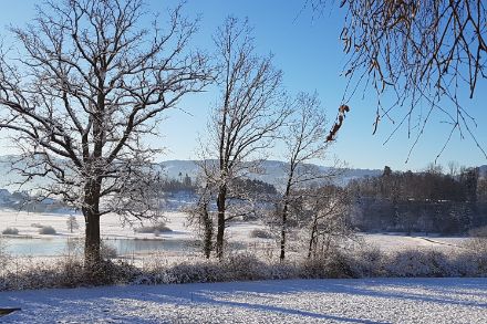 Lago Egelsee vicino a Wolfhausen, Canton Zurigo. Gli stagni e i piccoli laghetti sono ormai ghiacciati, ma non siamo ancora al punto di vedere gelare anche le superfici dei laghi più grandi. Foto: Christa Hayoz. 