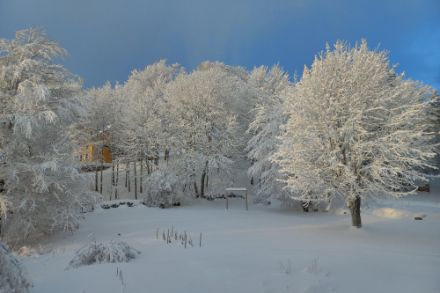 Segnalazioni meteo tramite l’app – Col des Etroits