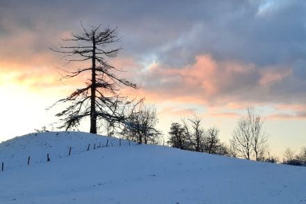 Serata invernale nei pressi del Lago di Zurigo, 19 gennaio 2024. Foto: Monika Bader.