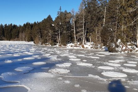 Etang de la Gruère, Franches Montagnes (foto di Florence Waecker)
