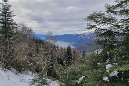  Panorama da circa 1150 metri di quota sopra Monte Brè verso sudovest, 6 gennaio 2024. Foto: L. Panziera.