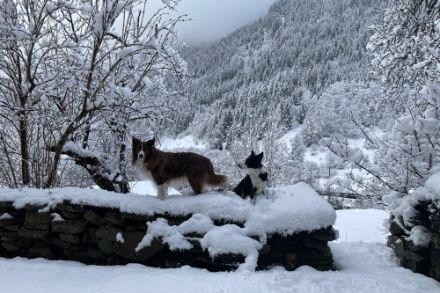 Stamattina 16 cm di neve fresca in quel di Varenzo