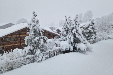 Risveglio imbiancato a Grindelwald questa mattina (Segnalazioni meteo/app)