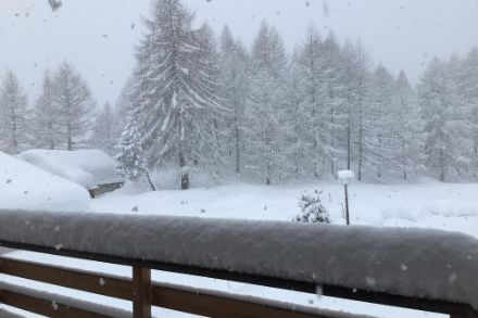 Nevicata intensa al Maloja il 27 marzo 2024. Fonte: Segnalazioni App MeteoSvizzera.
