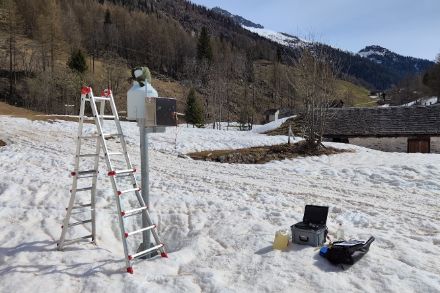 Vuotatura del pluviometro di Bosco Gurin in una mite giornata di aprile. MeteoSvizzera