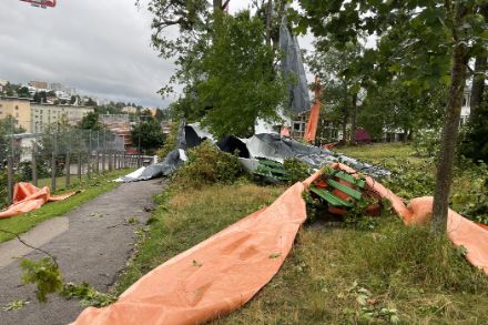 Danni osservati il giorno successivo al passaggio del temporale nell'area del Parc Gallet. Foto: Lionel Peyraud, MétéoSvizzera.