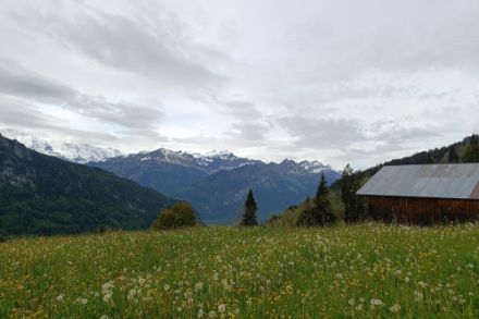 Unterseen questa mattina - Fonte: Crowdsourcing @MobileApp MeteoSvizzera