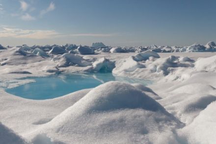 Il ghiaccio nell’Artico durante la stagione di fusione (www.meereisportal.de)