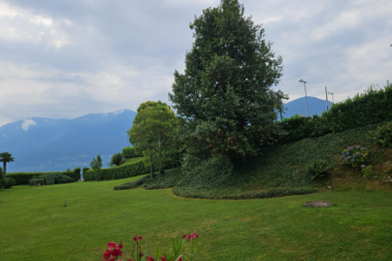 Figura 1: immagine da Brissago scattata questa mattina. La nuvolosità ha ostacolato il raffreddamento notturno. Fonte: segnalazioni meteo/App