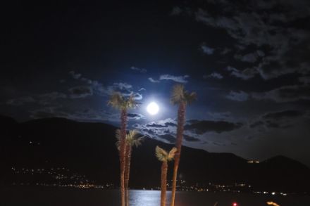 Notte poco nuvolosa il 22 giugno 2024, vista da Ascona verso sud. Fonte: segnalazioni app MeteoSvizzera.