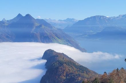 Nebbia alta immortalata dal Bürgenstock (NW/LU) a circa 1100 m slm, la mattina del 29.10.2024. Fonte: segnalazioni meteo tramite App di MeteoSvizzera. 