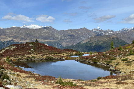 Pozza parzialmente ghiacciata vicino al Lago di Prato in Leventina il 29 settembre 2024. Foto: M. Gaia.
