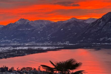Nuvolosità da fronte caldo questa mattina nei cieli sopra il Lago Maggiore verso il delta del fiume Ticino. Immagine ripresa da Orselina - fonte: segnalazioni meteo tramite app di MeteoSvizzera. 