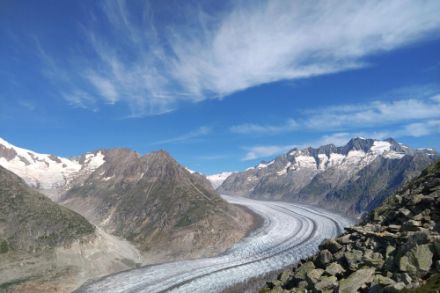 Vista del ghiacciaio dell'Aletsch nell'agosto 2024. Fonte: segnalazioni Meteo / App MeteoSvizzera