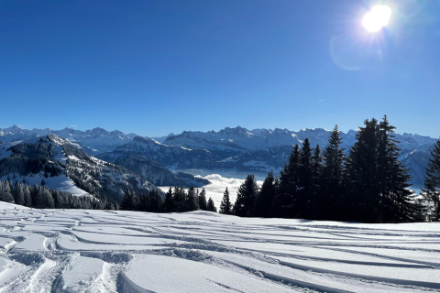 Tracce di sci nella neve fresca sotto un cielo sereno sul Rigi Steffel con vista verso sud-est. A quote inferiori il mare di nebbia. Fonte: Segnalazioni meteo tramite app di MeteoSvizzera. 