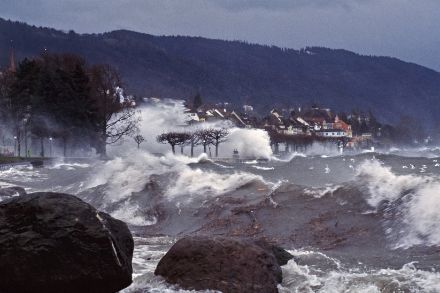 Fig. 1: la tempesta Lothar sul lago di Zugo. Questa impressionante foto di A. Busslinger (agenzia fotografica AURA) mostra la forza della tempesta durante il suo passaggio sul lungolago di Zugo.