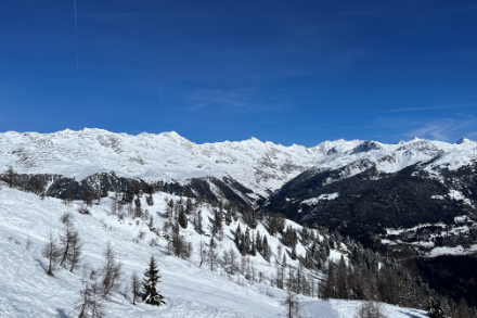 Paesaggio innevato.