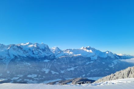 Cieli sereni questa mattina nella zona dell'Hasliberg. Foto: Segnalazioni meteo / app di MeteoSvizzera 