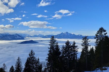 In montagna gennaio è stato caratterizzato da un lungo periodo soleggiato. Vista dal Rigi Kaltbad verso il Pilatus, 19.01.2025.  Foto: Segnalazioni app MeteoSvizzera