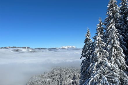 Tempo soleggiato in montagna a metà mese. Il mare di nebbia sulla Svizzera centrale con vista sul Pilatus, 15 febbraio 2025. Foto: Elias Zubler
