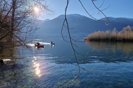 Tempo soleggiato e mite, ideale per le uscite in canoa al delta del fiume Maggia, il 15 febbraio 2025. Foto: L. Panziera.