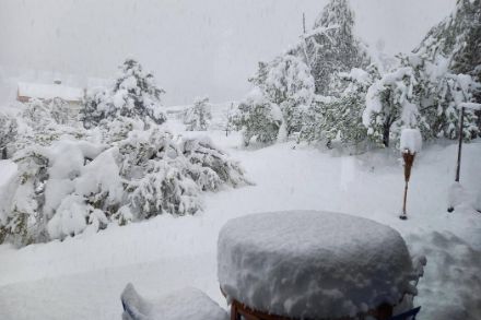 Molta neve fresca a Chalais (VS) questa mattina alle 7:45 (osservazioni meteo - App MeteoSvizzera)