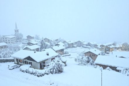 Figura 1: Forti nevicate ad Arbaz (VS) nella mattinata del 17 aprile. (Fonte: CrowdSourcing/App.)