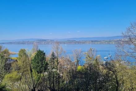 Giornata soleggiata e calda sul Lago di Murten il 5 aprile 2025, con una temperatura massima di circa 21°C. Fonte: Osservazioni meteorologiche - App MeteoSvizzera