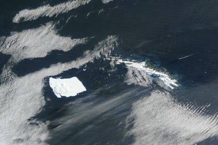 L’iceberg A23a a sud-ovest della Georgia de Sud, l’11 aprile 2025 (NASA Worldview)