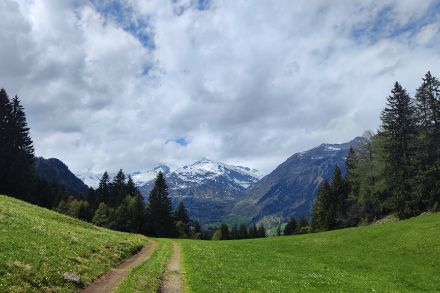 Vista sul massiccio del Gottardo dai verdi prati di Giof 