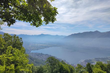 Vista sul lago di Locarno (Segnalazioni Meteo - App MeteoSvizzera)
