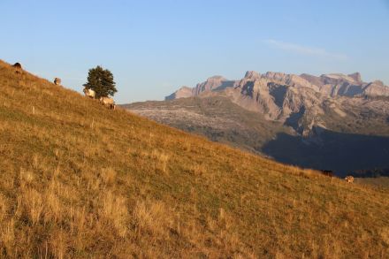 Siccità nell'agosto 2022, vista dal Chli Aubrig verso il massiccio del Glärnisch.