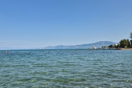 Figura 1. Andamento giornaliero della temperatura del mare nel Mediterraneo (media per l'intero bacino).